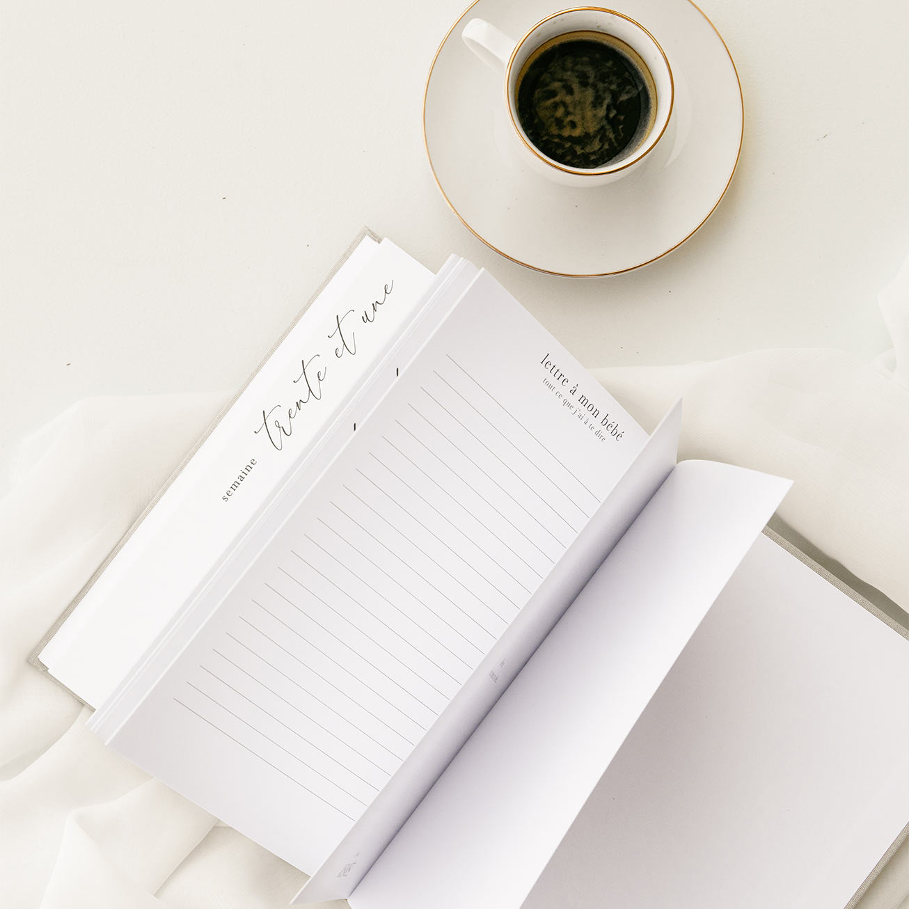 Pregnancy journal