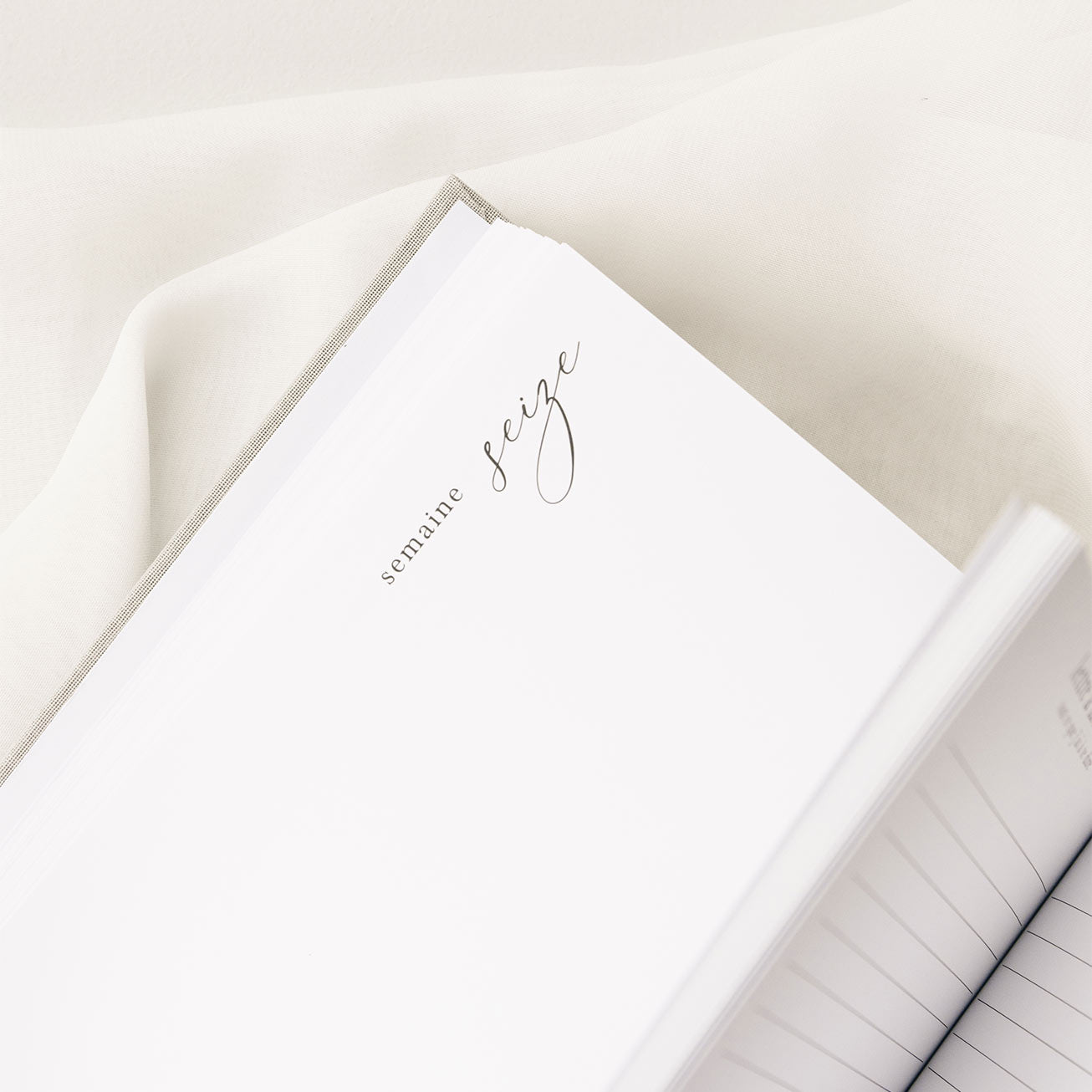 Pregnancy journal