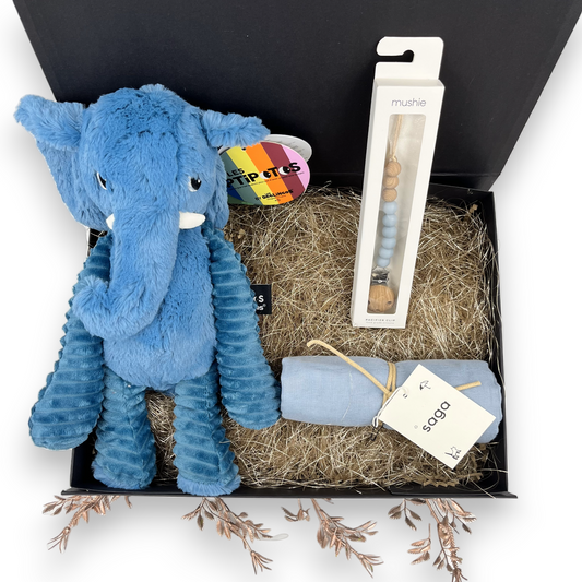 Een luxe cadeau voor de pasgeboren baby om te geven net na de geboorte - speelse momenten - in kleur blauw
